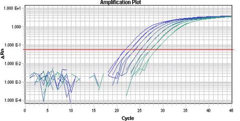 how to use graphpad prism for real time pcr